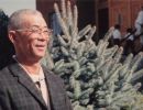 frank adachi front of temple
