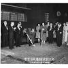 gingko tree gomonshu gingko tree gomonshu
